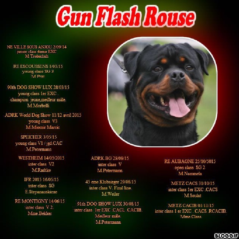 Gun flash rouse